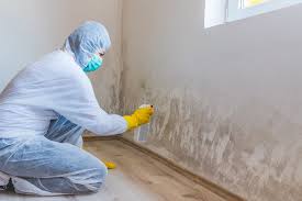 Forensic Mold Investigation